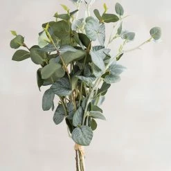 Best reviews of 🧨 Primitives By Kathy Green Leaf Spray ❤️