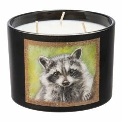 Flash Sale 🌟 Primitives By Kathy Black & Green Multicolor Raccoon Jar Candle ✨