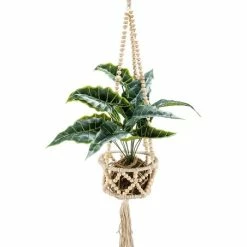 Best reviews of ✨ Primitives By Kathy Cream Beaded Plant Hanger ✔️