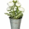Hot Sale 💯 Primitives By Kathy White & Green Ranunculus Potted Arrangement ⌛