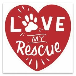 Best deal 🌟 Primitives By Kathy Red 'Love My Rescue' Car Magnet 👍